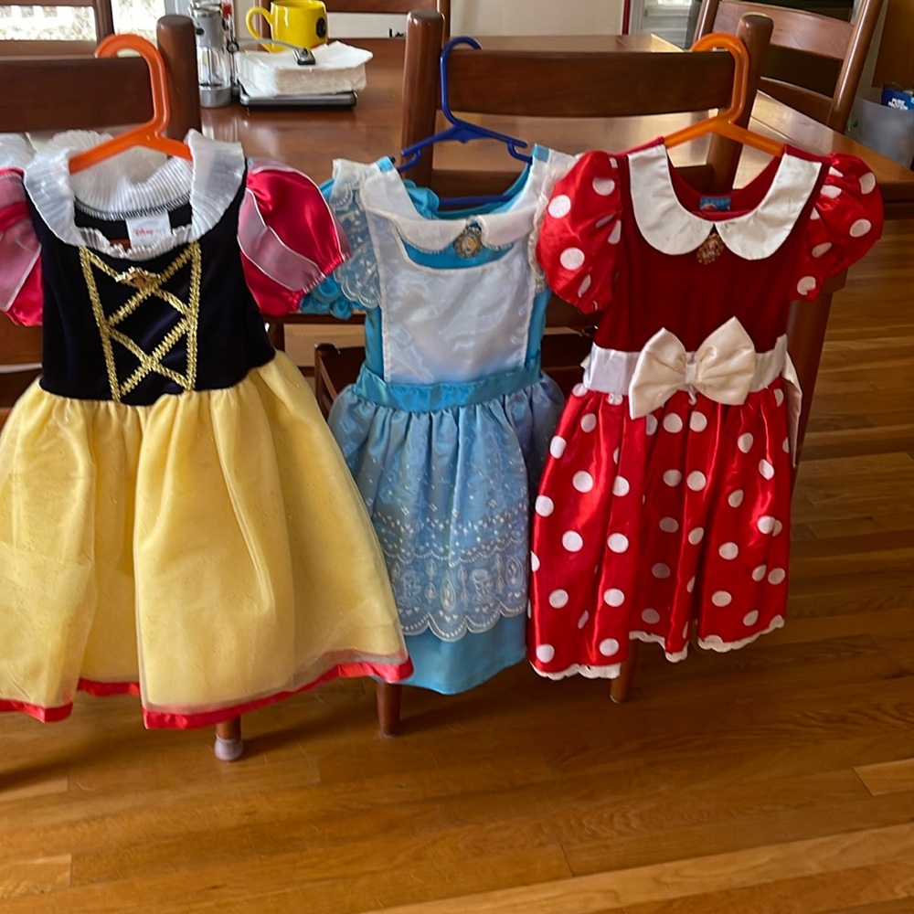 Disney Little Girl Costumes